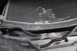 Renault Kangoo  picture 20