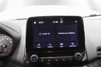 Ford EcoSport  picture 13