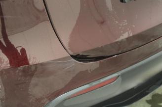 Tesla Model Y  picture 9