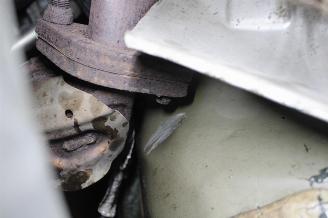 Kia Picanto  picture 19