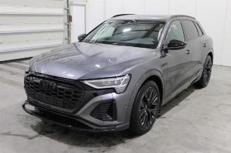 Audi Q8 e-tron picture 1