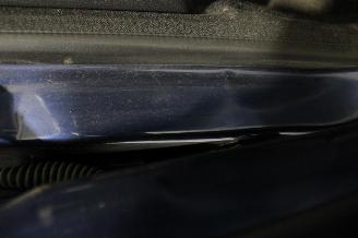 Dacia Dokker  picture 23