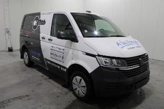 Volkswagen Transporter T6 picture 2