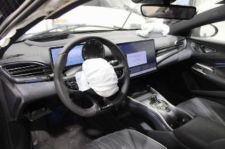 BYD SEAL  picture 10