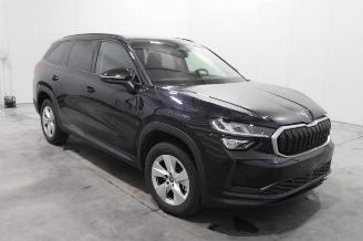 Skoda Kodiaq  picture 2