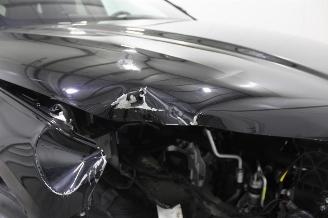 BYD Seal U  picture 21