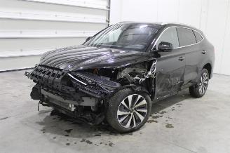 škoda osobní automobily BYD Seal U  2025/9