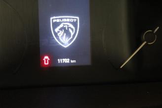 Peugeot Boxer  picture 11