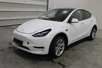 damaged passenger cars Tesla Model Y  2023/6