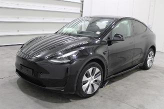 škoda osobní automobily Tesla Model Y  2024/5