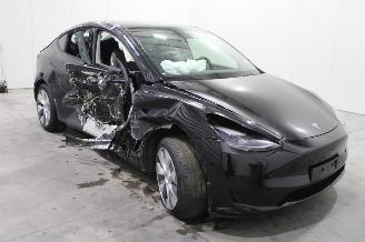 Tesla Model Y  picture 2
