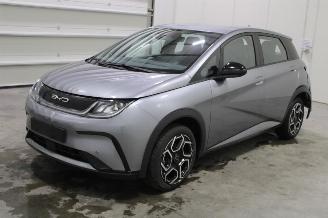 Unfallwagen BYD Dolphin  2024/9