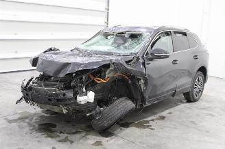 Unfallwagen Volkswagen Tiguan  2024/12