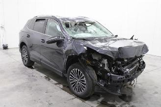 Volkswagen Tiguan  picture 2