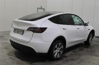 Tesla Model Y  picture 4
