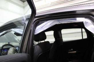 Mercedes EQA  picture 22