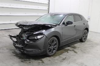 Mazda CX-30  picture 1