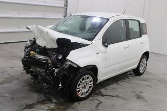 Auto incidentate Fiat Panda  2019/9
