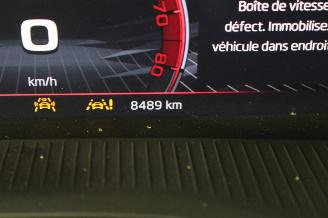 Skoda Kamiq  picture 14