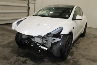 Damaged car Tesla Model Y  2025/2