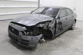 Jaguar XE  picture 1