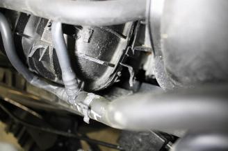 Volkswagen Golf  picture 23