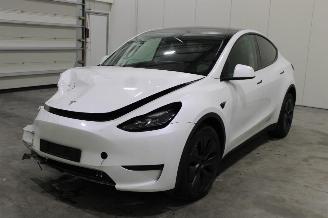 Unfallwagen Tesla Model Y  2024/9