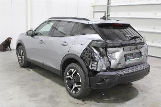 Peugeot 2008  picture 4