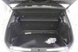 DS Automobiles DS 7 Crossback DS7 Crossback picture 21