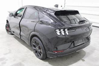 Ford Mustang Mach-e  picture 4