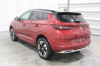 Opel Grandland X picture 4