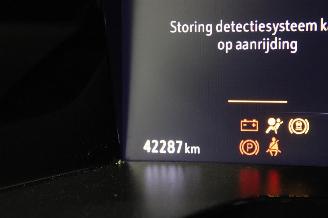 Opel Grandland X picture 12