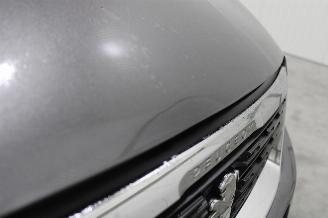 Peugeot 308  picture 9
