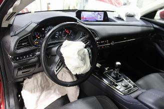 Mazda CX-30  picture 10