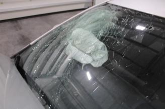 Toyota Corolla  picture 6