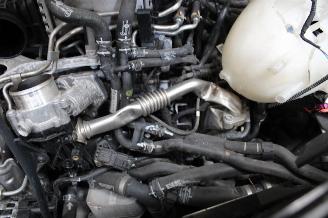 Volkswagen Transporter T6 picture 19
