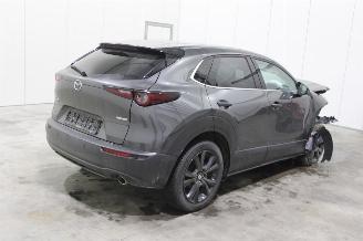 Mazda CX-30  picture 3