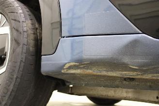 Kia Niro  picture 22