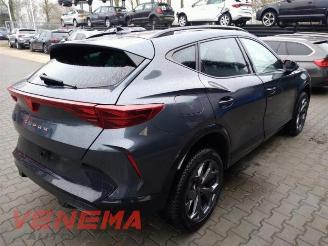 Cupra Formentor Formentor, SUV, 2020 1.5 e-Hybrid VZ 16V picture 6