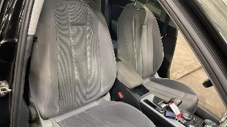 Audi A4 allroad  picture 18