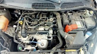 Ford Fiesta  picture 10