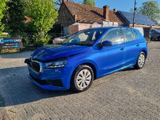 Damaged car Skoda Fabia 1.0 TSI 81KW Clima 2024/6