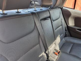 Hyundai Ioniq EV Premium Schuifdak Leder Stoelverw picture 11