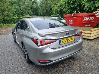Coche accidentado Lexus ES 300H Business Line Schuifdak Led Stoelverw 2024/1