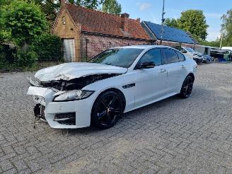 Coche accidentado Jaguar XF 20d Aut. Rsport Pano Navi Led 2015/10