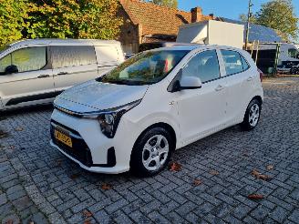 Damaged car Kia Picanto 1.0 GDi DynamicLine Airco Navi Camera 2026/2