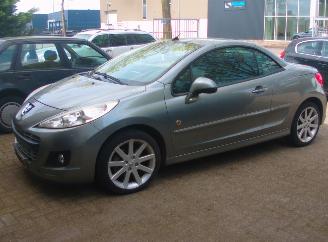 škoda osobní automobily Peugeot 207 cc roland garros 2011/6