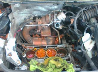 Renault Scenic bose 7 persoons picture 10