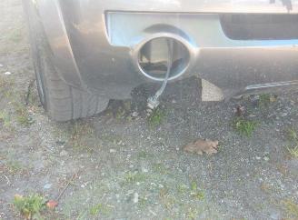 Kia Sorento  picture 10