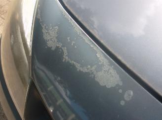 Renault Clio  picture 8